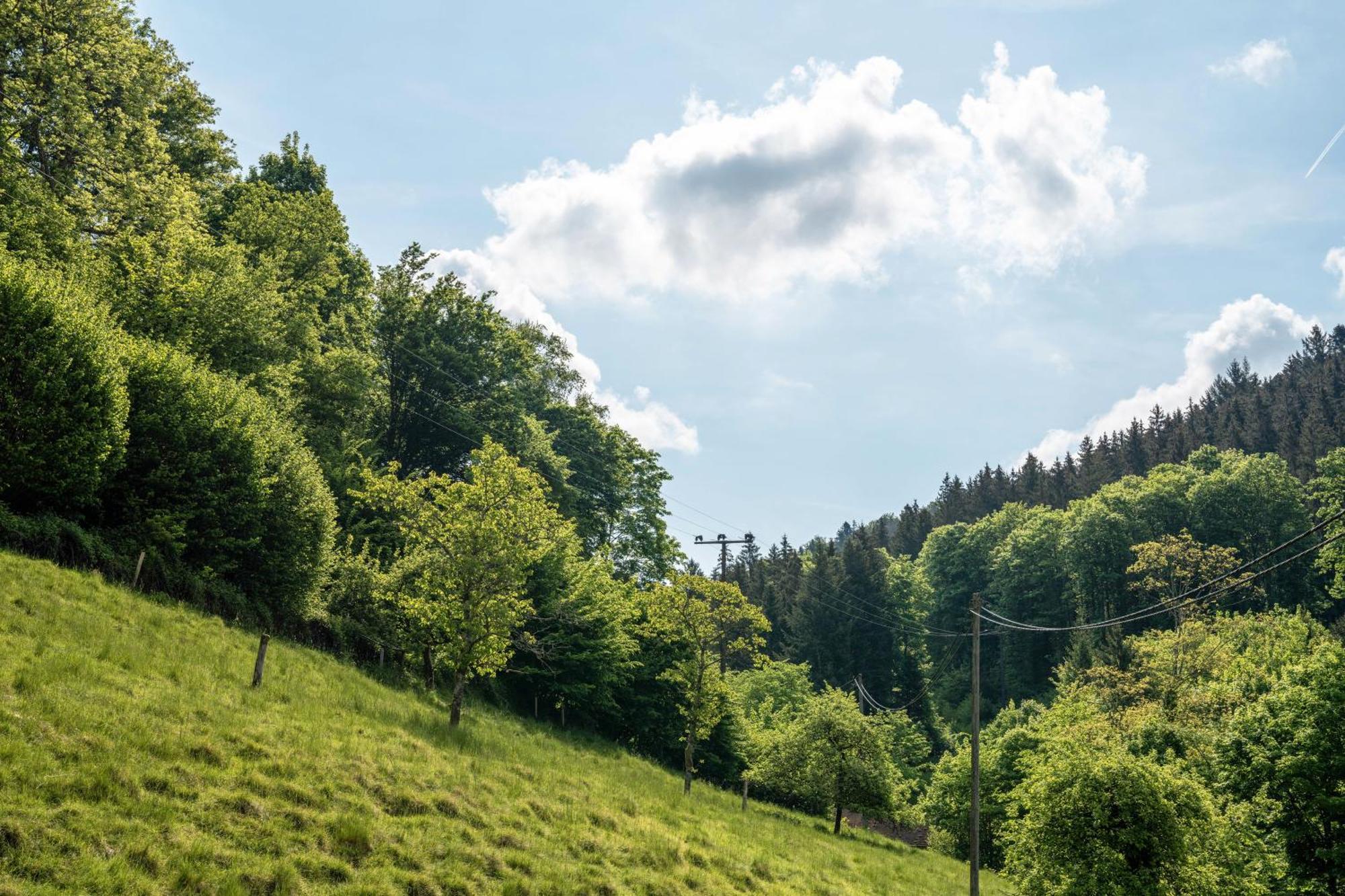 Gaestehaus Gerda Bad Peterstal-Griesbach Eksteriør bilde